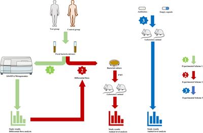 PitNETs and the gut microbiota: potential connections, future directions